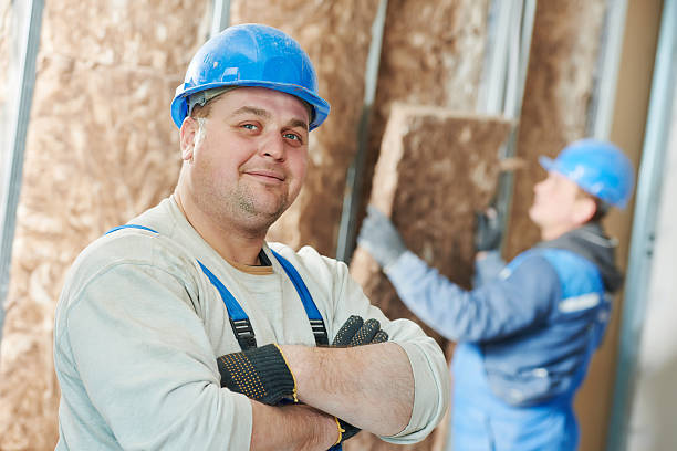 Best Basement Insulation  in Montz, LA